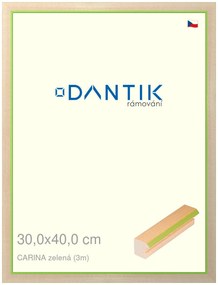 DANTIK rám na obraz 30x40 | CARINAzelená (Plexi Čiré)