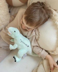 Plyšový Tyranosaurus Rex mätový M