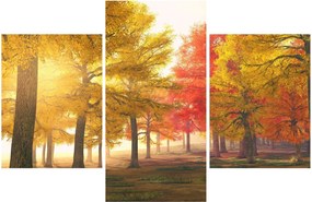 Obraz jesenných stromov (90x60 cm)