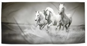 Sablio Uterák Biele kone - 30x50 cm