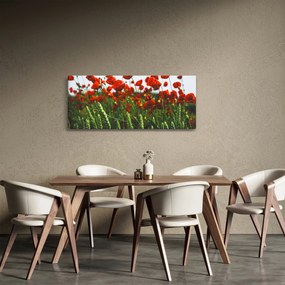 Obraz vlčích makov vo vetre (120x50 cm)