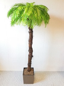 Umelá palma- svetlá s kôrou 180 cm