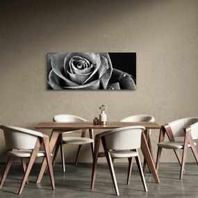 Obraz - Ruža, čiernobiela (120x50 cm)
