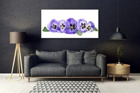 Obraz plexi Plátky kvet sirôtky 120x60 cm
