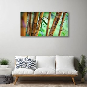 Obraz na plátne Bambus príroda rastlina 140x70 cm