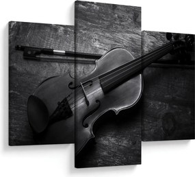 Obraz - Viola (90x60 cm)