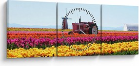 Obraz tulipánové farmy (s hodinami) (90x30 cm)