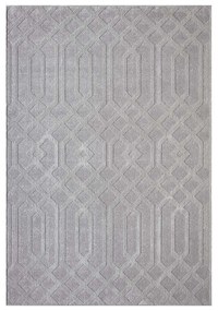 Dekorstudio Moderný koberec do obývačky FLAIR 138 - sivý Rozmer koberca: 80x150cm