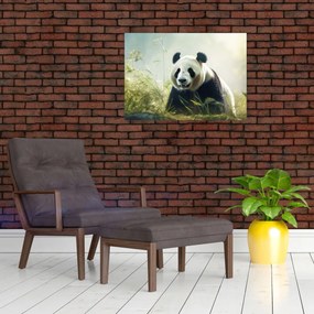 Obraz - Panda (70x50 cm)