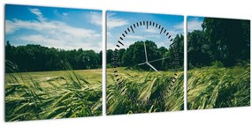 Obraz lúky a lesa (s hodinami) (90x30 cm)