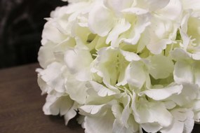 Biela hortenzia hlava 20cm