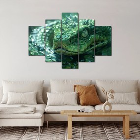 Obraz - Portrét hada (150x105 cm)