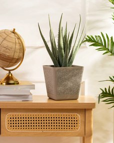 PLASTOVÝ KVETINÁČ PILEA TX 18X18 CM BÉŽOVÁ