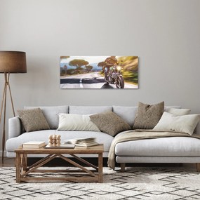 Obraz - Motorkár (120x50 cm)
