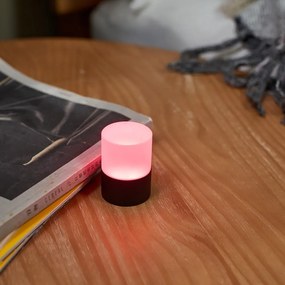 Čierna svetelná dekorácia na USB ø 4,5 cm Lemelia – Gingko