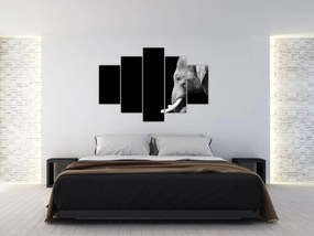 Obraz - Slon (150x105 cm)