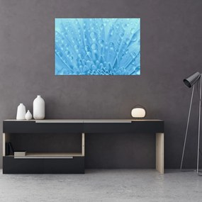 Obraz - Makro záber kvetu (90x60 cm)