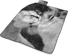 Sablio Plážová deka Levica: 200x140 cm