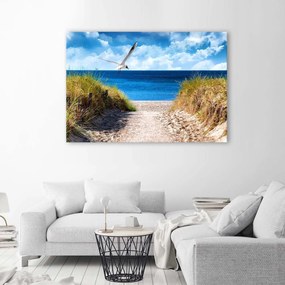 Gario Obraz na plátne Cesta na pláž a čajka Rozmery: 120 x 80 cm