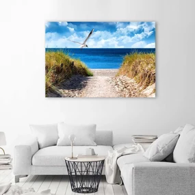 Gario Obraz na plátne Cesta na pláž a čajka Rozmery: 120 x 80 cm