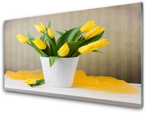 Obraz plexi Tulipány kvety rastlina 125x50 cm