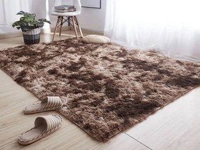 TZ Hnedý obdĺžnikový shaggy koberec Ombre Rozmer: 200x250