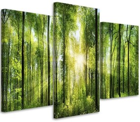 Gario Obraz na plátne Slnečné lúče v zelenom lese - 3 dielny Rozmery: 60 x 40 cm