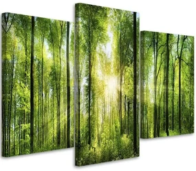 Gario Obraz na plátne Slnečné lúče v zelenom lese - 3 dielny Rozmery: 120 x 80 cm