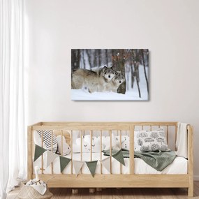 Obraz - Vlci v zime (90x60 cm)