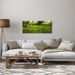 Obraz prírody - lúka (120x50 cm)
