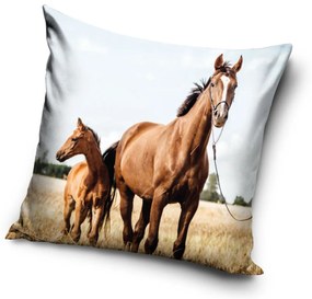 Carbotex DETSKÁ DEKORAČNÁ OBLIEČKA NA VANKÚŠ HORSE1 40X40 CM VZOROVANÁ
