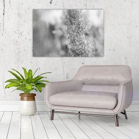 Obraz - Boho pampas grass (90x60 cm)
