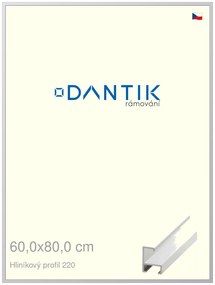 DANTIK rám na obraz 60x80 | ALU Bílá matná (Plexi Čiré)