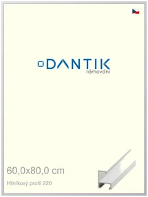 DANTIK rám na obraz 60x80 | ALU Bílá matná (Plexi Čiré)