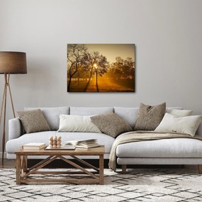 Obraz - Východ slnka (70x50 cm)
