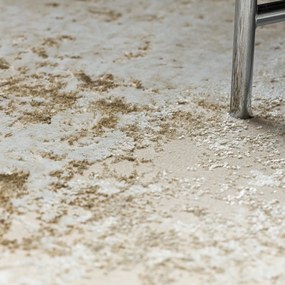 Dywany Łuszczów, Kusový koberec Allure 1959 cream/beige, 160x220, béžová, kancelária