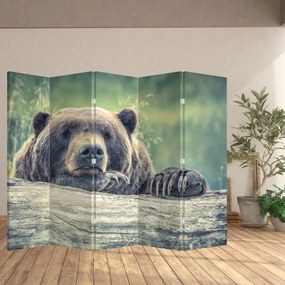 Paraván - Medveď (210x170 cm)