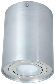 Podhľadové bodové svietidlo OS100-SS výklopné - kruhové - strieborná + pätica GU10
