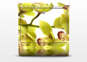 Poštová schránka Splendid Orchid Waters