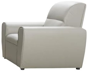 Kožené kreslo TOKIO, sivá (u-24)