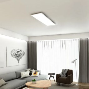 Brilo - LED Stmievateľné stropné svietidlo SLIM LED/24W/230V 100x25 cm + DO