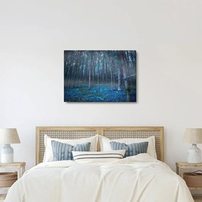 Obraz - Magický les (70x50 cm)