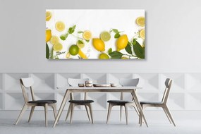 Obraz mix citrusových plodov - 100x50