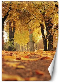 Gario Fototapeta Zlatý lak jeseň Materiál: Vliesová, Rozmery: 200 x 280 cm