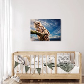 Sklenený obraz sovy (70x50 cm)