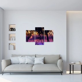 Obraz - Stromy pri západe slnka (90x60 cm)