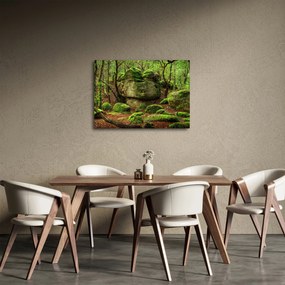 Obraz čarovného lesa (70x50 cm)