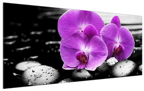 Obraz kvetov orchidee (120x50 cm)