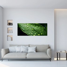 Obraz - List po daždi (120x50 cm)