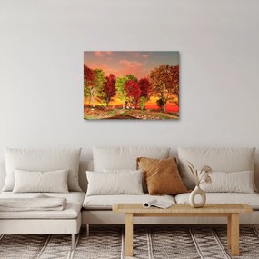 Obraz - Farebné stromy (70x50 cm)